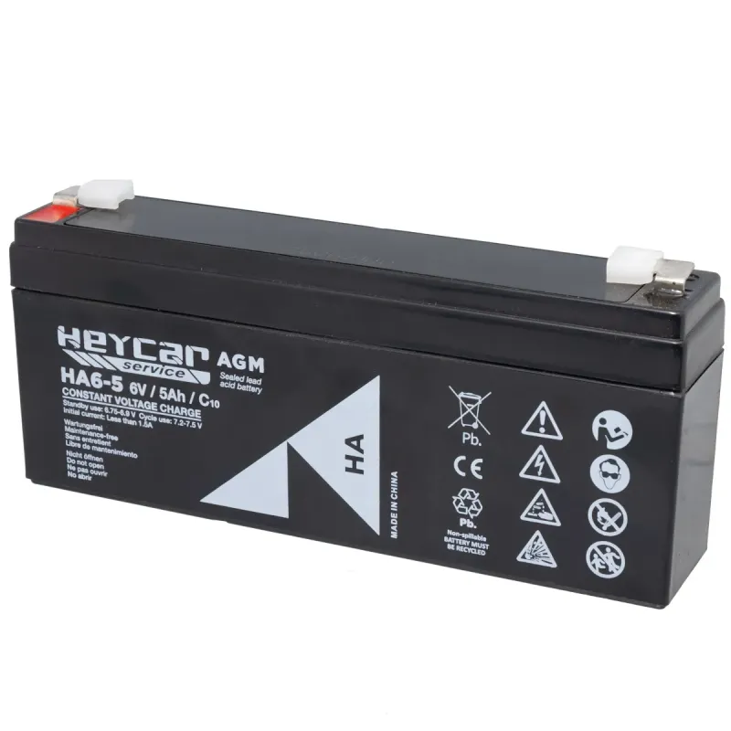 Batería 6V 5Ah HeyCar HA 169x35x70mm